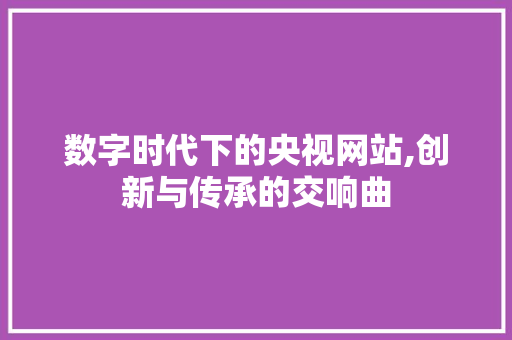 数字时代下的央视网站,创新与传承的交响曲