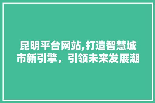 昆明平台网站,打造智慧城市新引擎，引领未来发展潮流