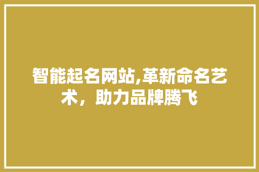 智能起名网站,革新命名艺术，助力品牌腾飞