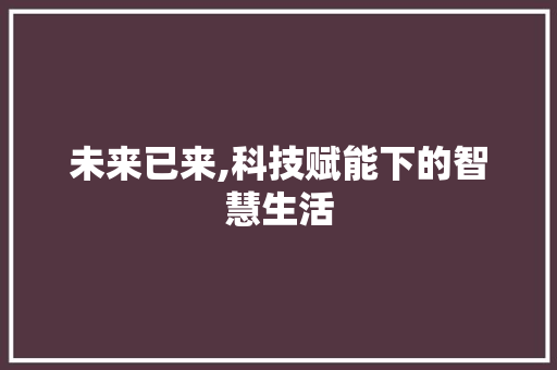 未来已来,科技赋能下的智慧生活