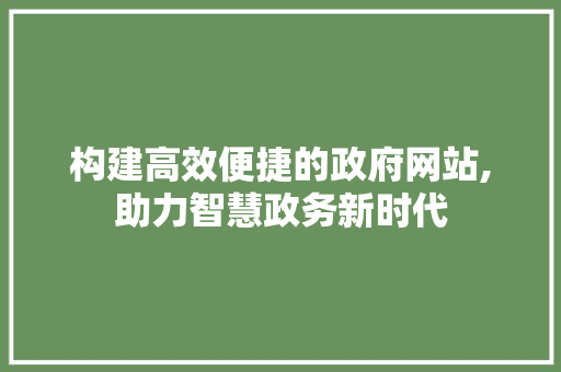 构建高效便捷的政府网站,助力智慧政务新时代