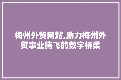 梅州外贸网站,助力梅州外贸事业腾飞的数字桥梁