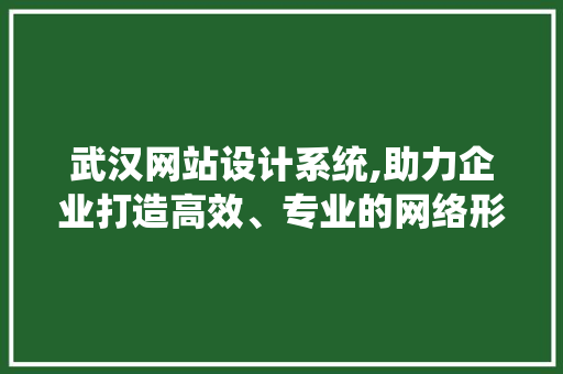 武汉网站设计系统,助力企业打造高效、专业的网络形象