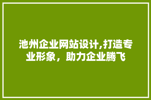 池州企业网站设计,打造专业形象，助力企业腾飞