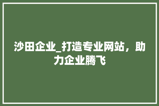 沙田企业_打造专业网站，助力企业腾飞