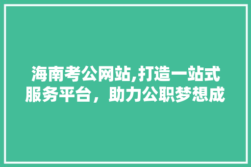 海南考公网站,打造一站式服务平台，助力公职梦想成真