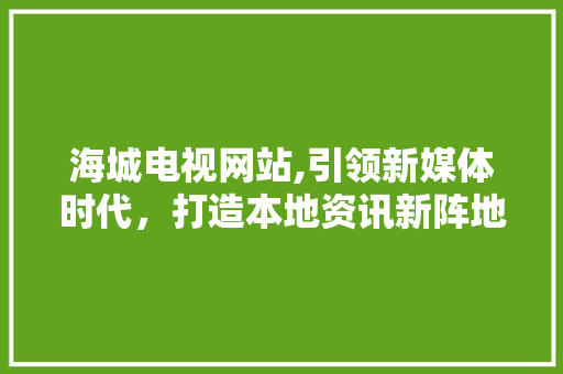 海城电视网站,引领新媒体时代，打造本地资讯新阵地