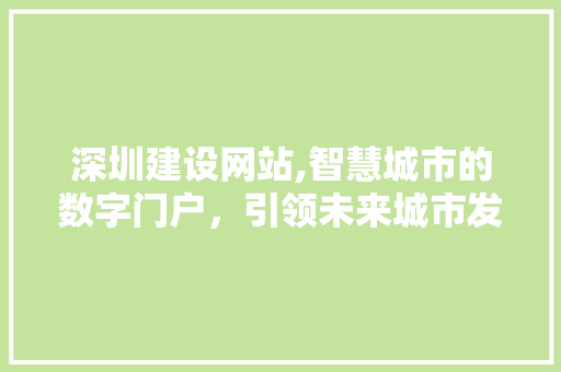 深圳建设网站,智慧城市的数字门户，引领未来城市发展新潮流