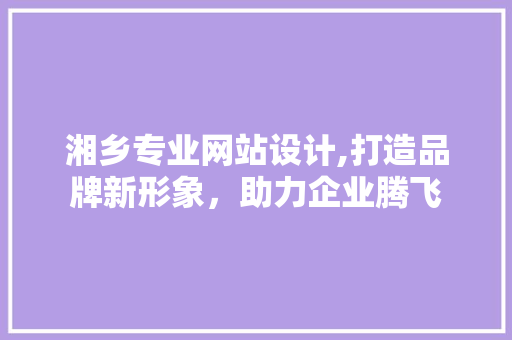 湘乡专业网站设计,打造品牌新形象，助力企业腾飞