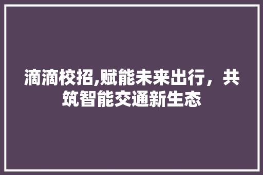 滴滴校招,赋能未来出行，共筑智能交通新生态