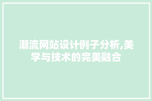 潮流网站设计例子分析,美学与技术的完美融合