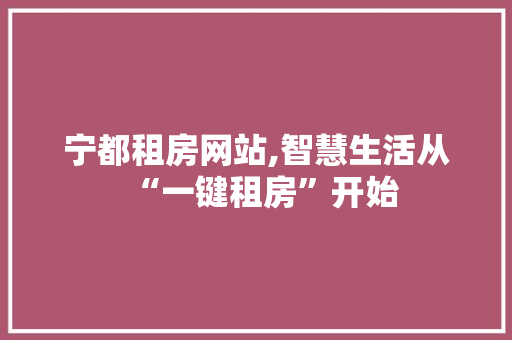 宁都租房网站,智慧生活从“一键租房”开始