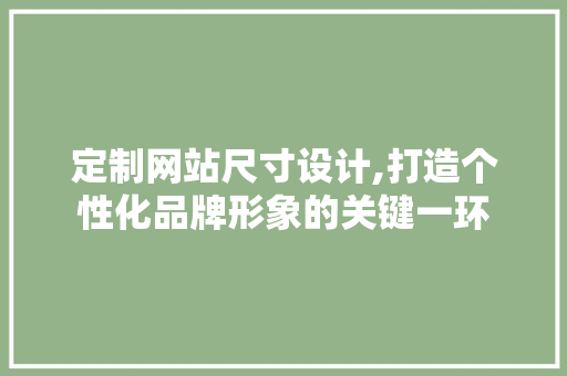 定制网站尺寸设计,打造个性化品牌形象的关键一环 Webpack