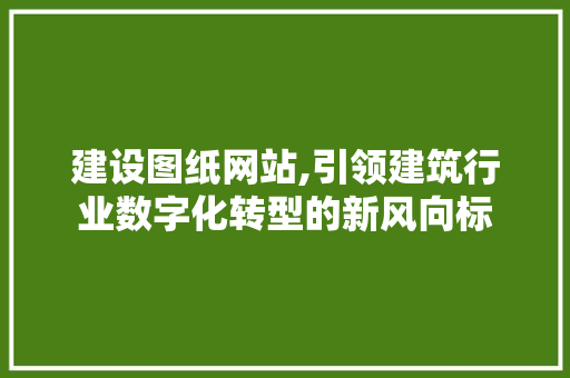 建设图纸网站,引领建筑行业数字化转型的新风向标