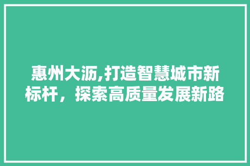 惠州大沥,打造智慧城市新标杆，探索高质量发展新路径