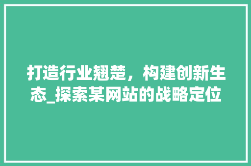 打造行业翘楚，构建创新生态_探索某网站的战略定位与发展蓝图 Angular