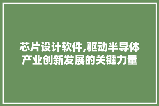 芯片设计软件,驱动半导体产业创新发展的关键力量