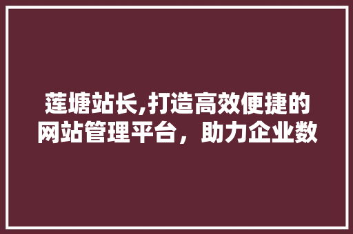 莲塘站长,打造高效便捷的网站管理平台，助力企业数字化转型