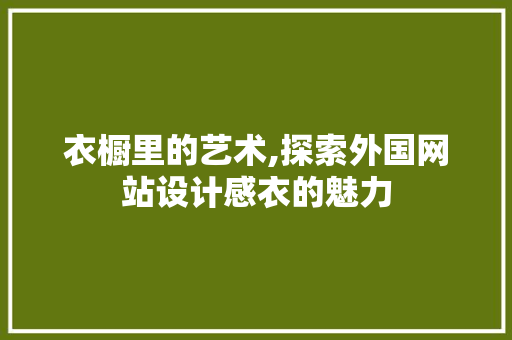 衣橱里的艺术,探索外国网站设计感衣的魅力 GraphQL