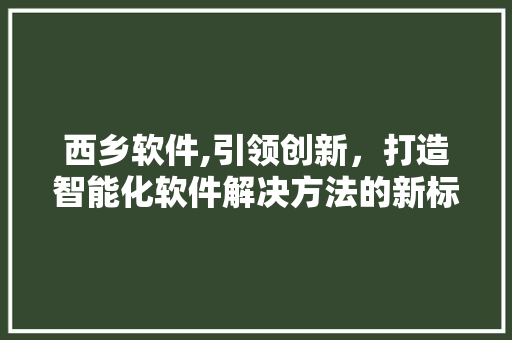 西乡软件,引领创新，打造智能化软件解决方法的新标杆