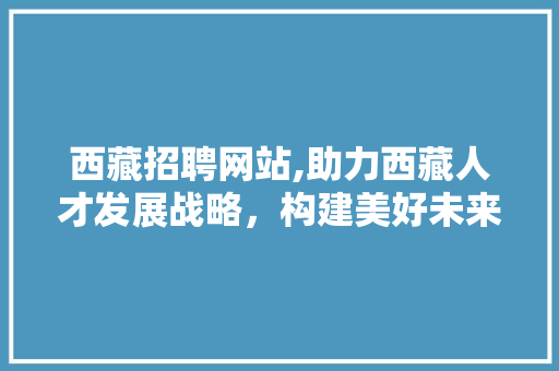 西藏招聘网站,助力西藏人才发展战略，构建美好未来