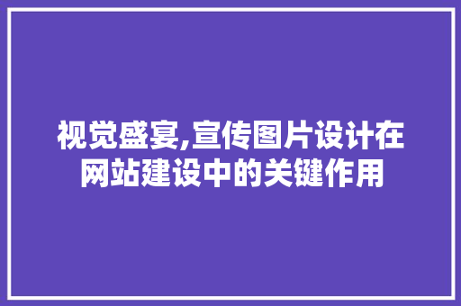 视觉盛宴,宣传图片设计在网站建设中的关键作用 Java