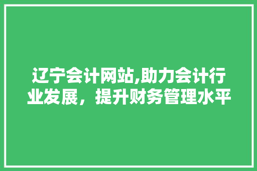 辽宁会计网站,助力会计行业发展，提升财务管理水平