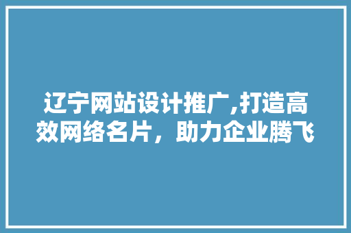 辽宁网站设计推广,打造高效网络名片，助力企业腾飞 Python