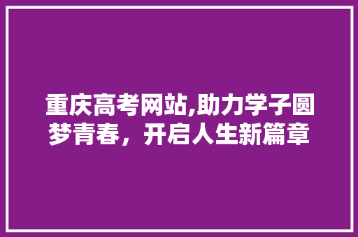 重庆高考网站,助力学子圆梦青春，开启人生新篇章