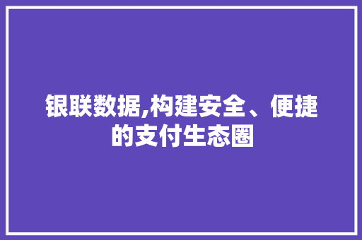 银联数据,构建安全、便捷的支付生态圈