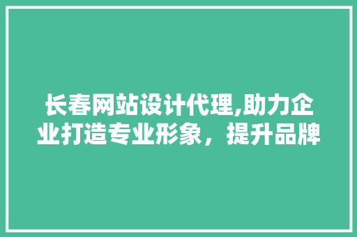 长春网站设计代理,助力企业打造专业形象，提升品牌竞争力