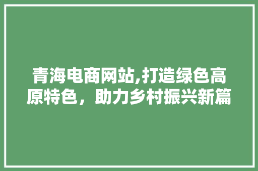 青海电商网站,打造绿色高原特色，助力乡村振兴新篇章