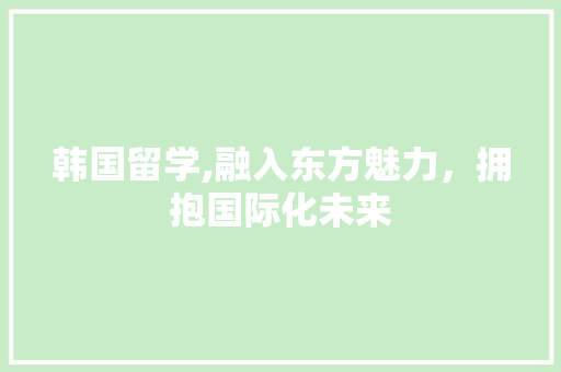 韩国留学,融入东方魅力，拥抱国际化未来