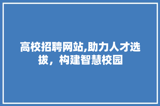 高校招聘网站,助力人才选拔，构建智慧校园