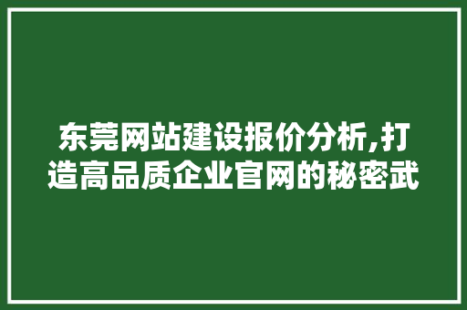 东莞网站建设报价分析,打造高品质企业官网的秘密武器 CSS