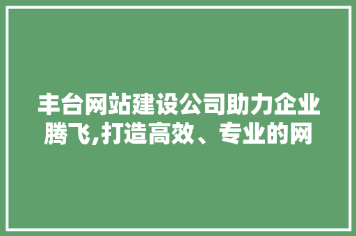 丰台网站建设公司助力企业腾飞,打造高效、专业的网络平台