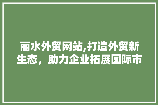 丽水外贸网站,打造外贸新生态，助力企业拓展国际市场