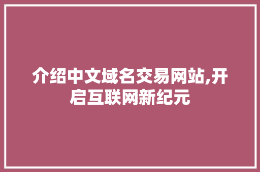 介绍中文域名交易网站,开启互联网新纪元