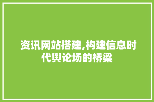  资讯网站搭建,构建信息时代舆论场的桥梁 Node.js