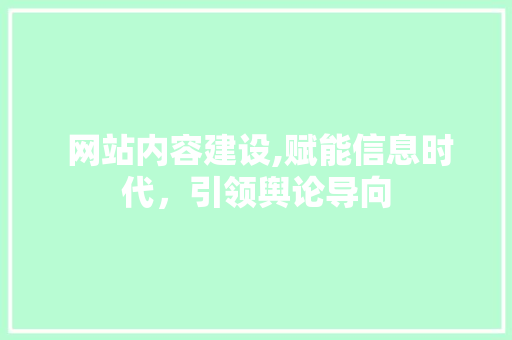  网站内容建设,赋能信息时代，引领舆论导向