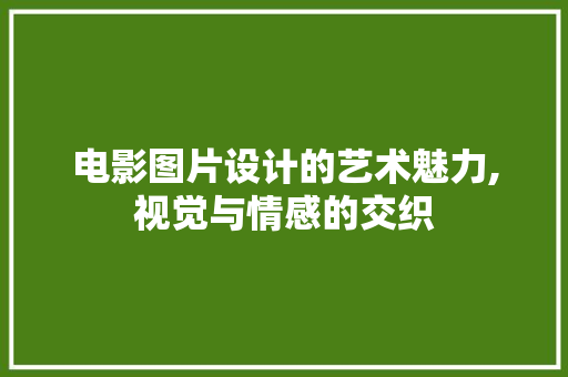 电影图片设计的艺术魅力,视觉与情感的交织