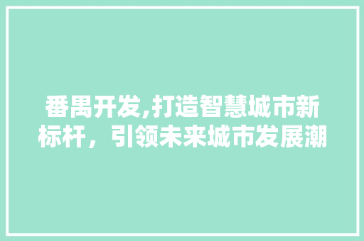 番禺开发,打造智慧城市新标杆，引领未来城市发展潮流