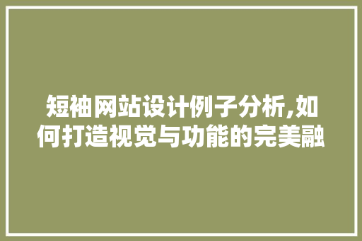 短袖网站设计例子分析,如何打造视觉与功能的完美融合