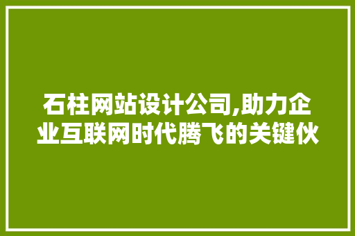 石柱网站设计公司,助力企业互联网时代腾飞的关键伙伴