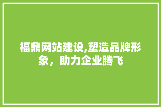 福鼎网站建设,塑造品牌形象，助力企业腾飞 NoSQL