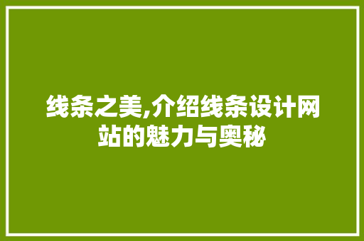 线条之美,介绍线条设计网站的魅力与奥秘