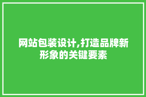 网站包装设计,打造品牌新形象的关键要素