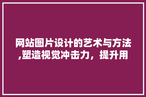 网站图片设计的艺术与方法,塑造视觉冲击力，提升用户体验 Python