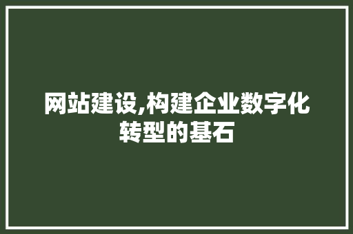 网站建设,构建企业数字化转型的基石 RESTful API