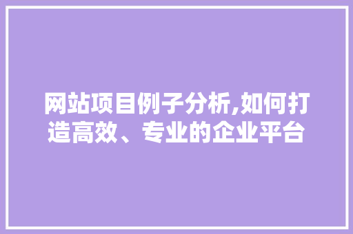 网站项目例子分析,如何打造高效、专业的企业平台